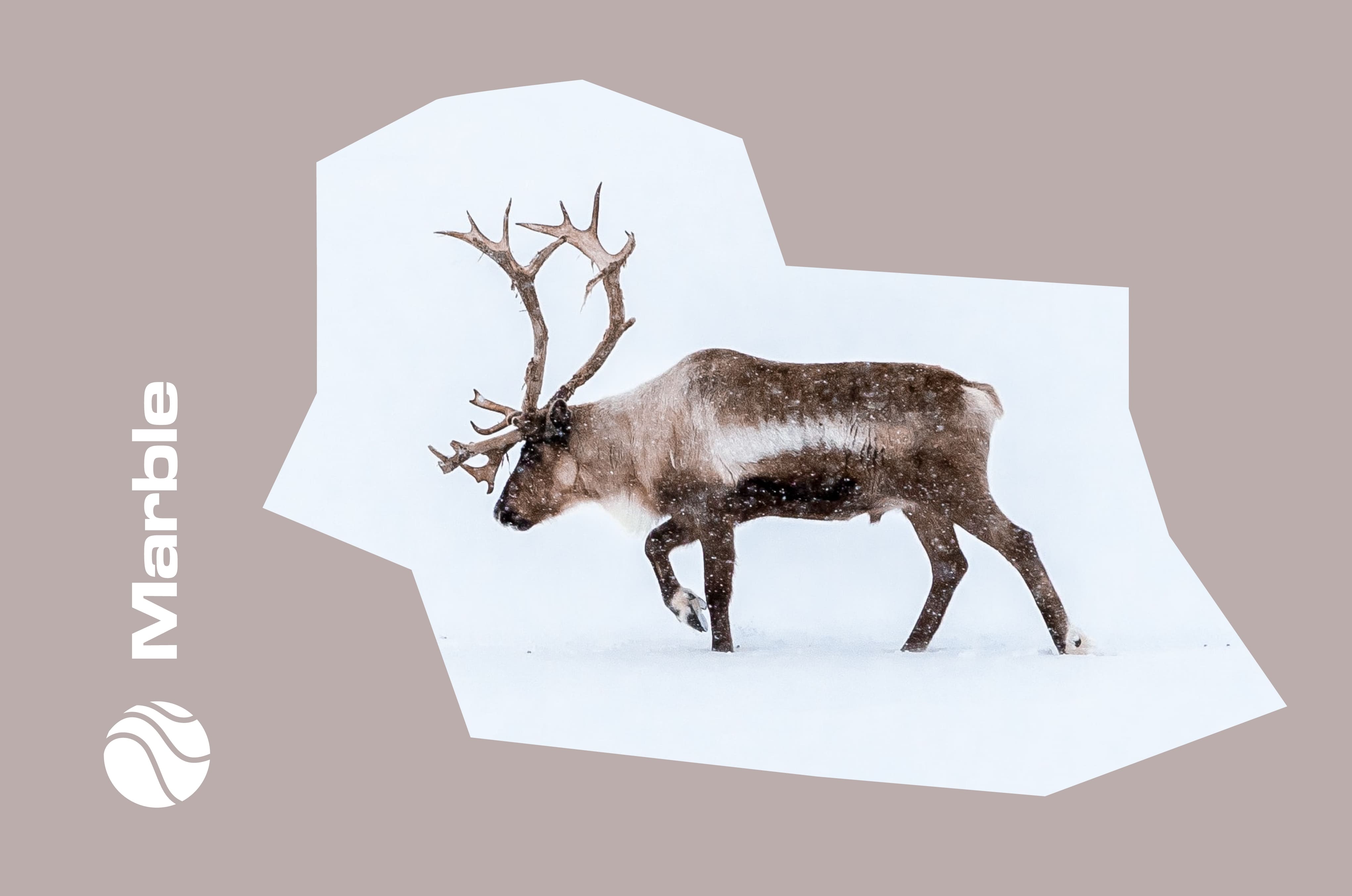 How Do I Know if My Credit Card Covers Rental Car Insurance?